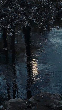 a full moon is reflected in the water next to some rocks and trees with white flowers