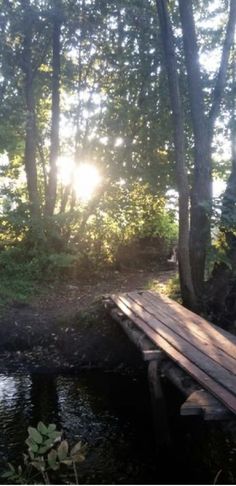 the sun shines brightly through the trees near a wooden bridge