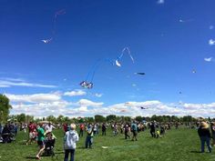 a group of people flying kites in a park on a sunny day with blue skies