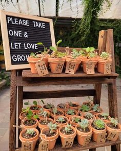 there are many potted plants on the stand