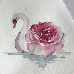 a watercolor painting of a pink rose and a white swan