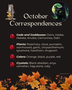 Explore the powerful correspondences of October, from the fiery energy of the Hunter’s Moon to autumn herbs and crystals for protection, manifestation, and release. Perfect for witches and spiritual seekers preparing for the season! #OctoberMagic #WitchyCorrespondences #Witchcraft October Crystals, Autumn Herbs, Protection Manifestation, Crystals For Protection