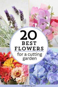 flowers with the words 20 best flowers for a cutting garden in front of them and below