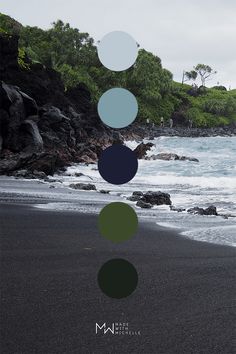 a black sand beach covered in lots of green and blue circles