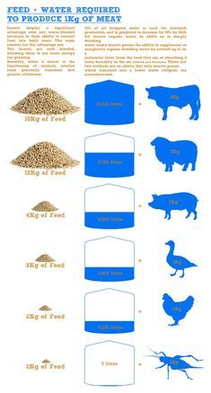 an info sheet with different types of animals