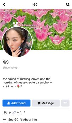 an instagram page with a photo of a woman and pink tulips