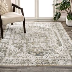 a large area rug with an ornate design on the bottom and sides, in front of a window