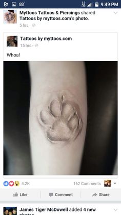 an image of a cat's paw on the side of a person's leg