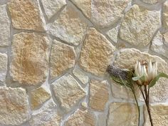 a white flower sitting on top of a stone wall