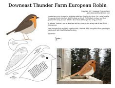 an image of a bird that is on top of a piece of paper with the words downeast thunder farm european robin