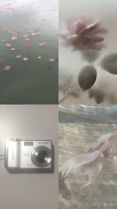 four different pictures with water and flowers in the middle one has a camera on it