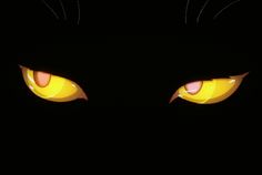 the eyes of a black cat with glowing yellow eyes