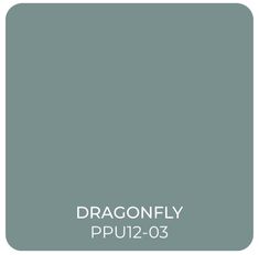 the color dragonfly ppu2 - 3 is shown in this image, it looks like