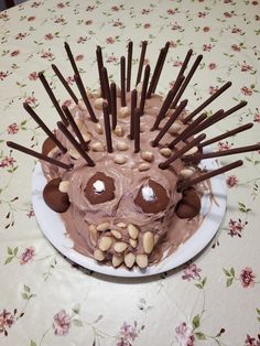 a cake that looks like a hedgehog with chocolate sticks sticking out of it's face