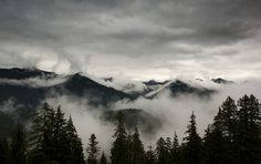 the mountains are covered in thick clouds and pine trees on a gloomy day with low hanging clouds