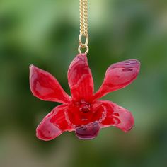 Petals expanded like a radiant star a natural orchid flower is beautiful and elegant. Thai artisans dye the flower with fantastic red-purple hues preserving the flower in resin. The flower forms the pendant of this necklace which graces the neck with 22k gold plated brass chain. Red Flower Pendant Necklace As Gift, Red Flower Necklace For Gift, Orchid Flower Necklace For Gift, Red Flower Necklace With Charm As Gift, Red Flower Charm Necklace As A Gift, Red Flower Charm Necklace For Gift, Orchid Pendant, Flower In Resin, 17 Feb