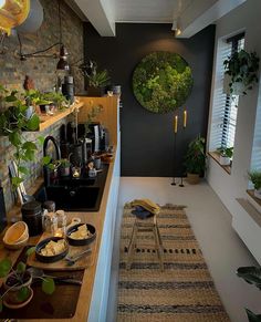 a long narrow kitchen with plants on the wall and an area rug in front of it