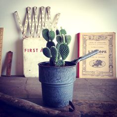 a cactus in a bucket with a wrench on the table next to some books