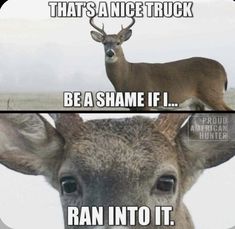 an antelope is standing in the snow with caption that says, that's a nice truck be a shame if i ran into it