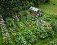 an aerial view of a garden with lots of plants