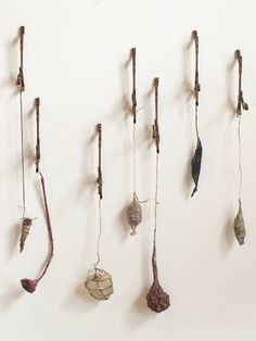 several dried plants hanging on a wall with one plant in the foreground and two dead ones behind them