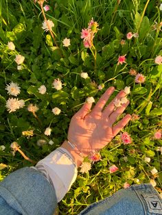 a person's hand reaching for flowers in the grass