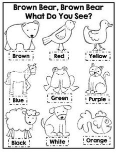 the brown bear, brown bear and white bear worksheet