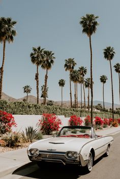 an old car is parked on the side of the road in front of palm trees