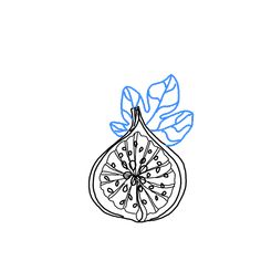 a piece of fruit with leaves on it and a blue line drawing in the middle