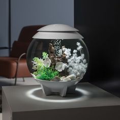 a fish bowl filled with plants and rocks on top of a white table next to a brown chair