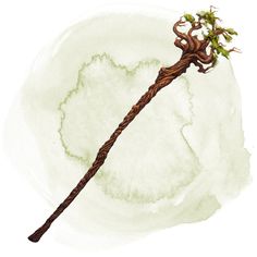 an old harry potter wand with green leaves on it's tip, in front of a white background