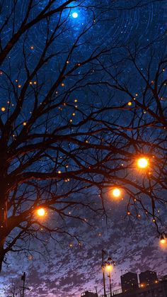 the night sky is lit up by street lights and trees with no leaves on them