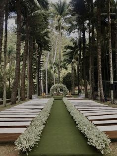 an outdoor ceremony set up with rows of chairs and greenery on the ground, surrounded by tall palm trees