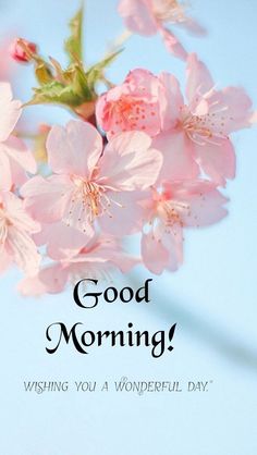 a pink flower with the words good morning wishing you a wonderful day written on it