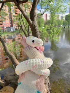 a person holding a snake in their hand next to a body of water with trees and buildings in the background