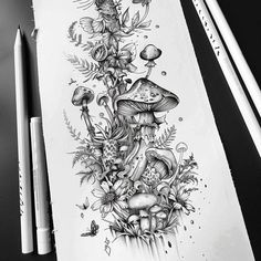 a pencil drawing of flowers and mushrooms on paper