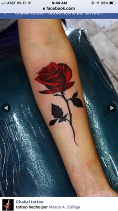 a red rose tattoo on the left forearm and right arm, with black leaves around it