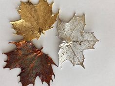 three different types of leaves on a white surface, one gold and one silver leaf