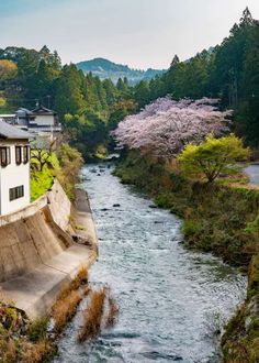 a river running through a lush green forest next to a small white building with windows