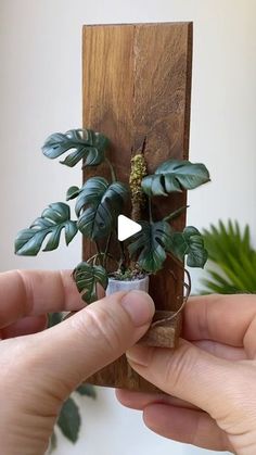 someone is holding a plant in front of a piece of wood with plants growing out of it