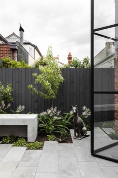 a dog sitting in the middle of a garden