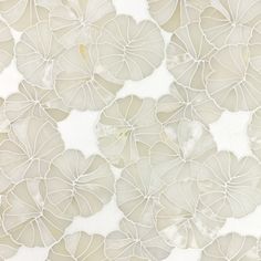 an image of a wallpaper with flowers on the back and white petals on the front