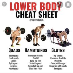 Quads And Hamstrings Workout Gym, Glutes Exercises, Teen Workout Plan, Quads And Hamstrings, Bench Workout