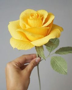 a person holding a yellow rose in their hand