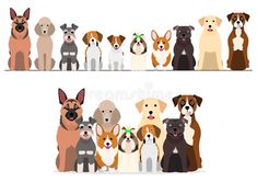 a group of dogs in different colors and sizes, standing on the opposite side of a horizontal line