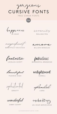 handwritten cursive font with different types of lettering on the front and back