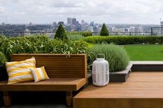 a wooden bench sitting on top of a lush green field