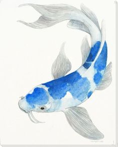 a drawing of a blue and white koi fish