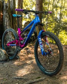 a blue and pink bike parked in the woods