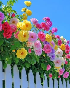 colorful flowers are growing on the side of a white picket fence